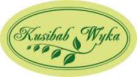 Kusibab-Wyka Blueberry plant