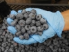 Quality of blueberries